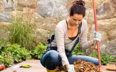Fall Yard Work Hazards & Home Insurance