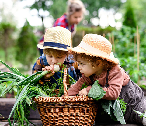 Two young children wearing straw hats examine a wicker basket filled with freshly harvested green vegetables in a lush garden